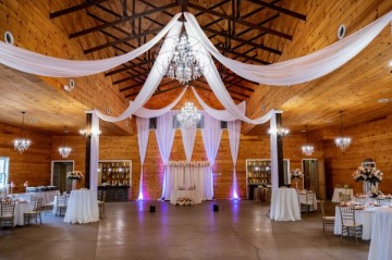 The Ivy on the Plains